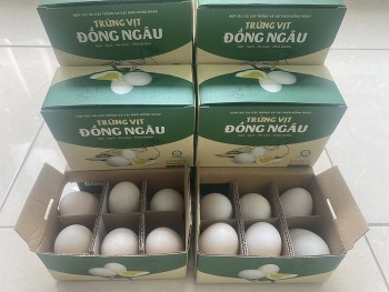 Trứng vịt Đồng Ngâu