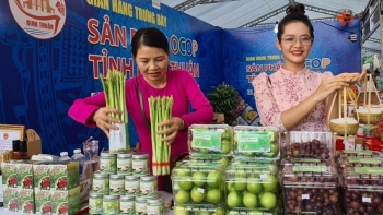 Ninh Thuận thúc đẩy phát triển sản phẩm OCOP