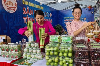 Ninh Thuận thúc đẩy phát triển sản phẩm OCOP