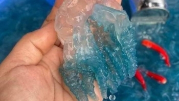 Nuốc Huế gây sốt khắp cõi mạng