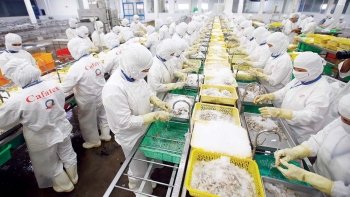 Những thách thức của xuất khẩu thủy sản Việt Nam năm 2024