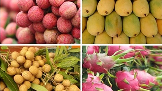 Ngành nông nghiệp tự tin "cán đích" mục tiêu xuất khẩu 54-55 tỷ USD