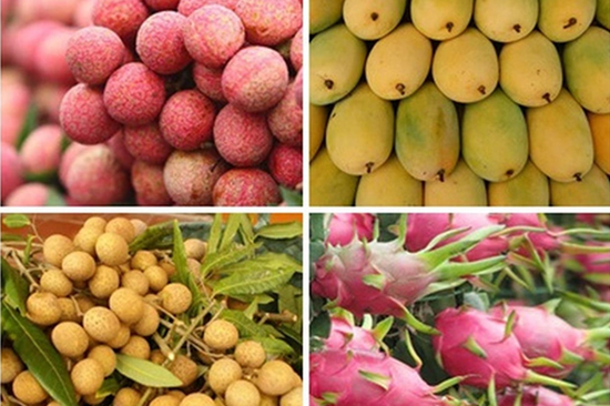 Ngành nông nghiệp tự tin đạt mục tiêu xuất khẩu 54 - 55 tỷ USD