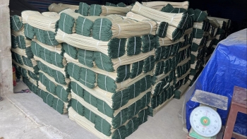 Chiếu cói Dũng Châu