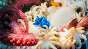 Xuất khẩu mực, bạch tuộc dự kiến giảm 2% trong quý I/2024