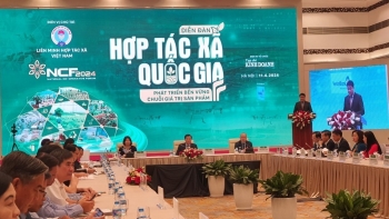 Phát triển bền vững chuỗi giá trị sản phẩm Hợp tác xã