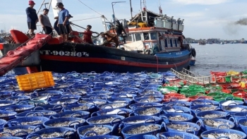 Chống khai thác IUU: Hành động vì hình ảnh quốc gia, thương hiệu quốc gia