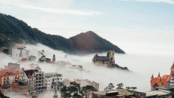 Cẩm nang du lịch Tam Đảo - Đà Lạt thu nhỏ ở phía Bắc