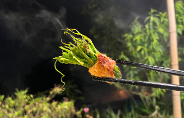 Cẩm nang du lịch Tam Đảo - Đà Lạt thu nhỏ ở phía Bắc