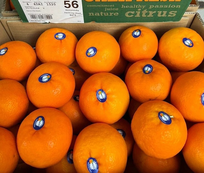 Sự thật đằng sau lời chào hàng “Quýt Úc giá rẻ chỉ 35.000 đồng/kg”