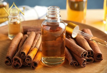 Tháo gỡ vướng mắc trong xuất khẩu tinh dầu quế