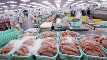 Ngành thủy sản "khó chồng khó", VASEP kiến nghị gì?