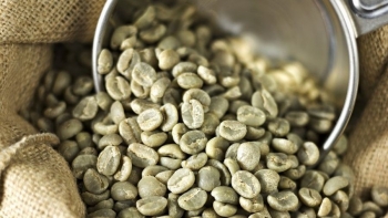 Giải mã hiện tượng giá cà phê liên tục lập đỉnh mới