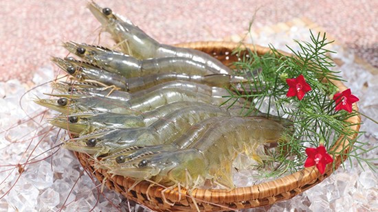 VASEP kiến nghị bãi bỏ hạn ngạch với tôm Việt Nam xuất khẩu vào Hàn Quốc