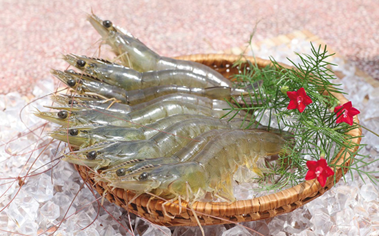 VASEP kiến nghị bãi bỏ hạn ngạch với tôm Việt Nam xuất khẩu vào Hàn Quốc