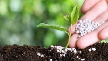 Bỏ 12 loại hàng hóa, dịch vụ thuộc đối tượng không chịu thuế GTGT