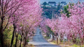 Đà Lạt được du khách Việt tìm kiếm nhiều nhất dịp nghỉ lễ 30/4 -1/5