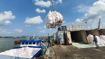 Xuất khẩu gạo tiếp tục thuận lợi