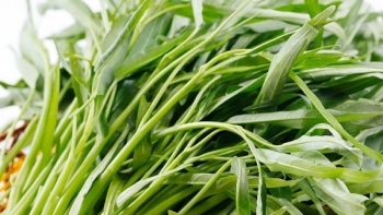 Nước luộc rau muống chuyển màu xanh đậm, có phải do thuốc trừ sâu?