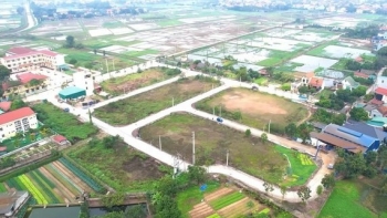 Đấu giá gần 100 thửa đất vùng ven Hà Nội vào đầu tháng 5