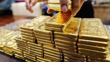 Chỉ 3.400 lượng vàng đấu thầu thành công: Đơn vị tham gia đấu thầu rất thận trọng