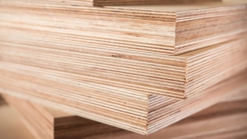 Hơn 150 doanh nghiệp xuất khẩu ván ép có nguy cơ phải dừng hoạt động