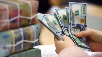 Ngành nào hưởng lợi khi giá USD tăng mạnh?