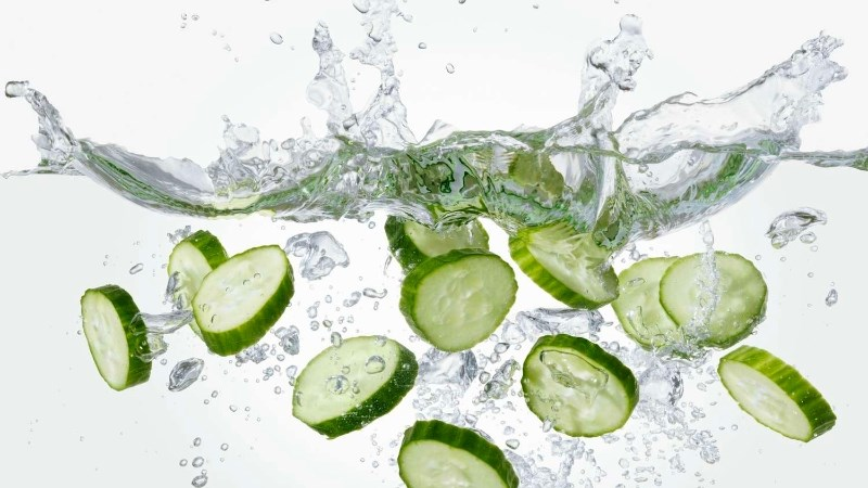 Cây Dưa leo - Dược liệu cho mùa hè