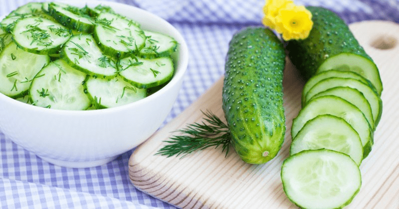 Cây Dưa leo - Dược liệu cho mùa hè