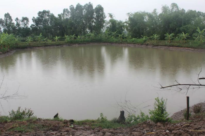 Hình ảnh ao không có biển cảnh báo Hình ảnh ao không có biển cảnh báo