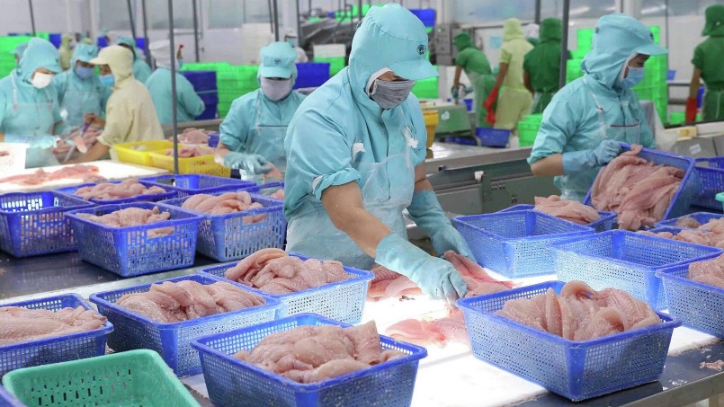 Xuất khẩu cá tra sang Mỹ tăng trưởng khả quan