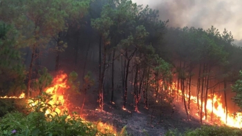 Tăng cường các biện pháp cấp bách phòng cháy, chữa cháy rừng