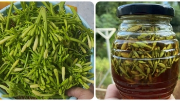 Uống hoa đu đủ đực ngâm mật ong vào lúc nào hợp lý?