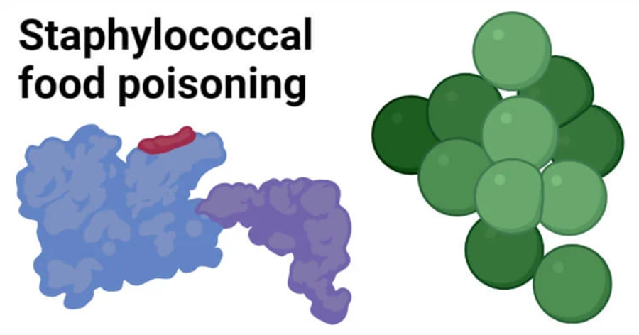 Sở Y tế TPHCM thông tin về kết quả nhiều học sinh bị ngộ độc do ăn phải thức ăn bị nhiễm độc tố vi khuẩn