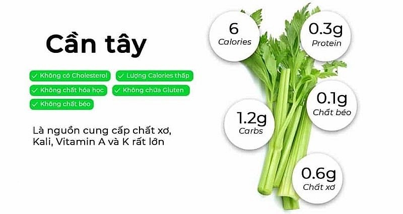 Cần tây cung cấp nhiều chất dinh dưỡng Cần tây cung cấp nhiều chất dinh dưỡng