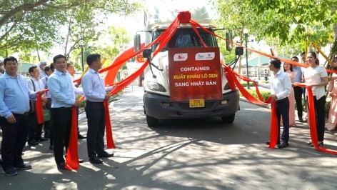 Đồng Tháp xuất khẩu 15 tấn củ sen cấp đông sang Nhật Bản