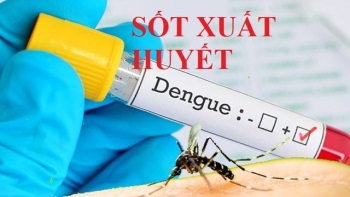 Sốt xuất huyết có nên cạo gió không?