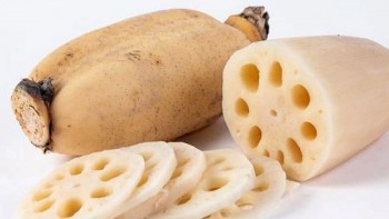 Củ sen - "Kho báu" tiềm ẩn dưới bùn