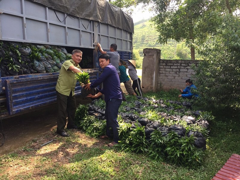 Hạt kiểm lân Lục Ngạn trong lần tiếp nhận cây giống lâm nghiệp.