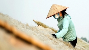 Miến dong làng So - Hương vị của đồng quê