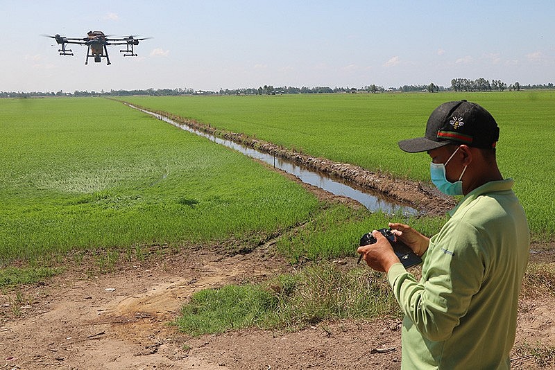 Nông dân thích ứng với chuyển đổi số trong nông nghiệp Nông dân thích ứng với chuyển đổi số trong nông nghiệp
