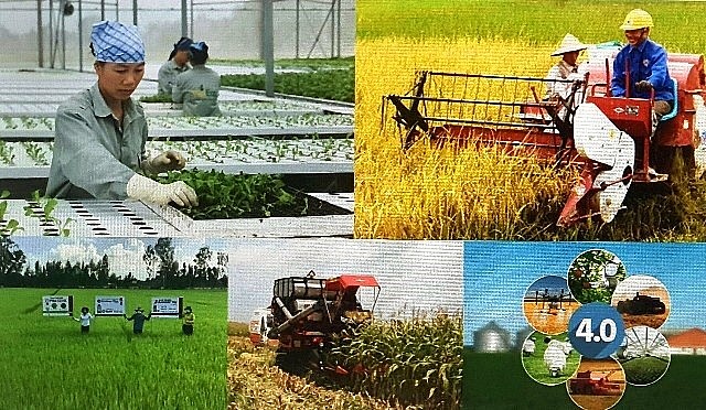 Nâng cao chất lượng hoạt động của Hội Nông dân Việt Nam trong giai đoạn mới. Nâng cao chất lượng hoạt động của Hội Nông dân Việt Nam trong giai đoạn mới.