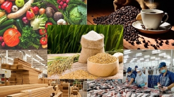 Xuất khẩu nông lâm thủy sản tiếp đà tăng trưởng ấn tượng