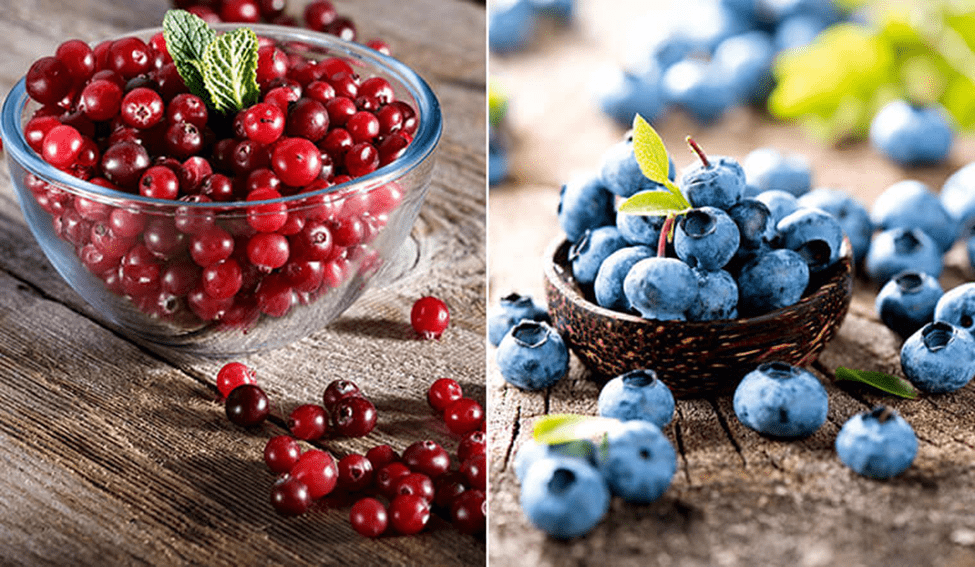 Quả nam việt quất và quả việt quất