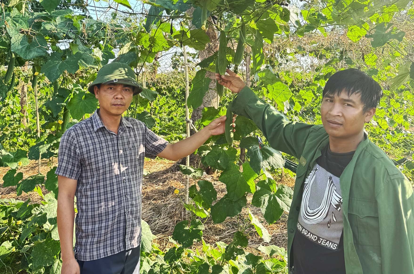 Độc đáo các sản phẩm thời trang, hữu ích từ xơ mướp