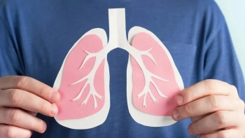 Các loại gia vị bảo vệ hệ hô hấp