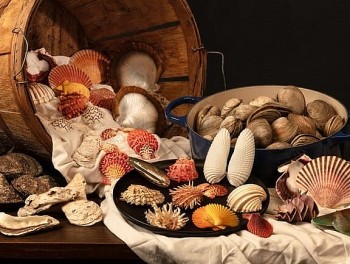 Xuất khẩu nhuyễn thể có vỏ gặp khó vì thiếu nguyên liệu