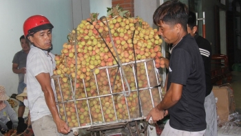 Chỉ trong 2 ngày, giá mỗi cân vải tăng tới 15.000 đồng