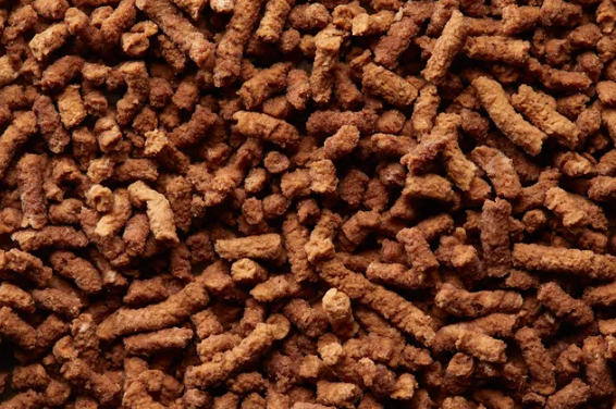 Thức ăn tôm chứa PekiloAqua của EniferBio – Ảnh: EniferBio Thức ăn tôm chứa PekiloAqua của EniferBio – Ảnh: EniferBio