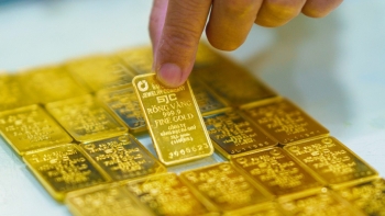 Tiếp tục tổ chức đấu thầu vàng miếng vào ngày mai